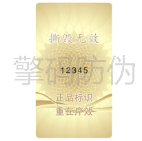 �����D��-��(d��ng)�B(t��i)����